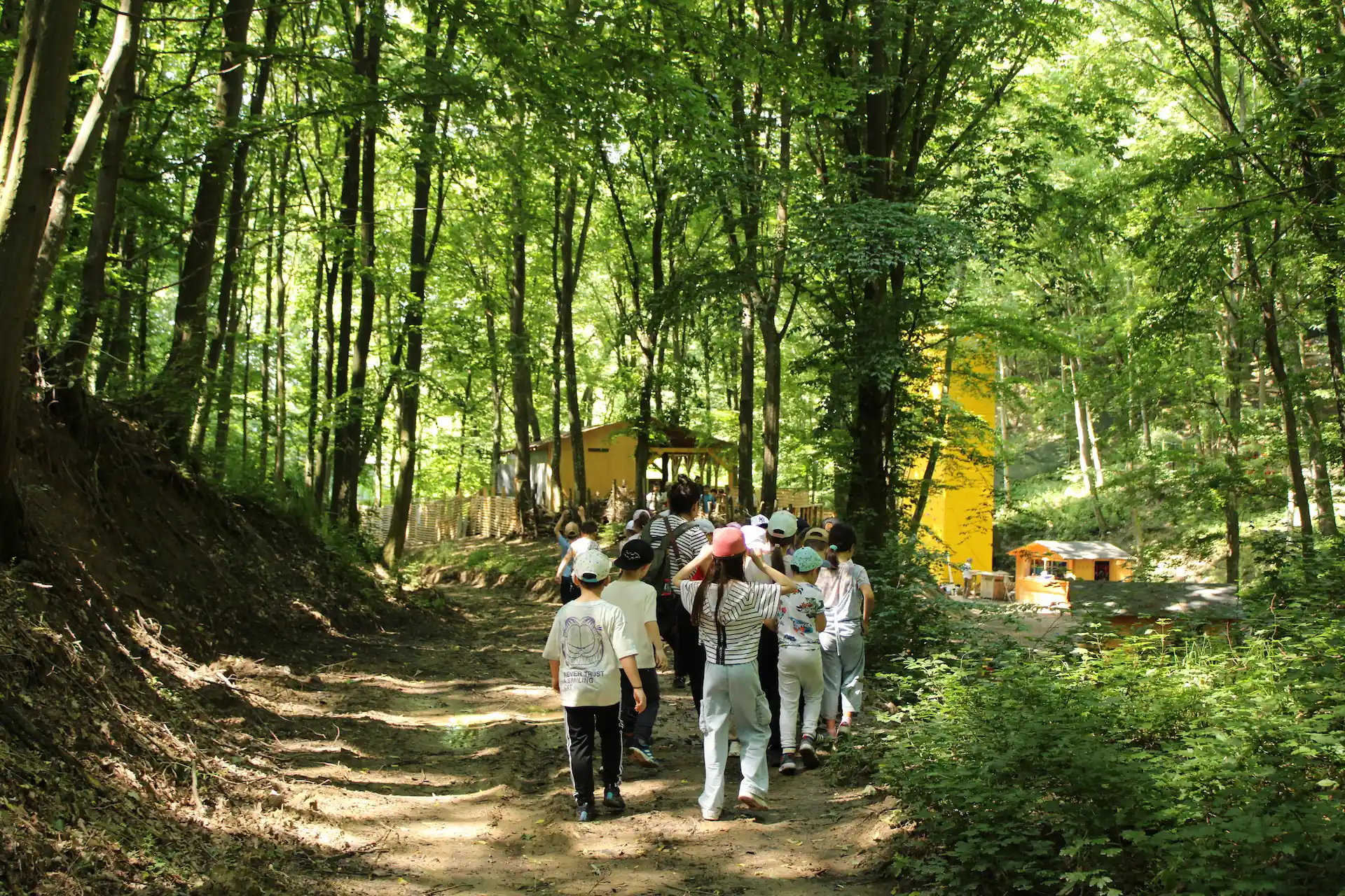 Poteca tematica cu grup copii in padure